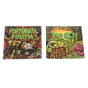 FORTUNATE YOUTH Reggae Rock Irie‎ State Of Mind It's All Jam Music CD's Lot of 2